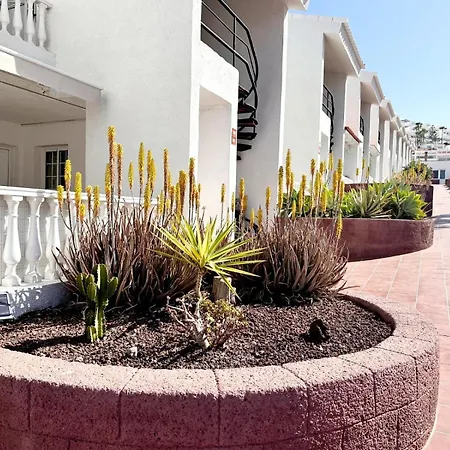 Canarias 107 Prázdninový dům Costa Adeje (Tenerife)